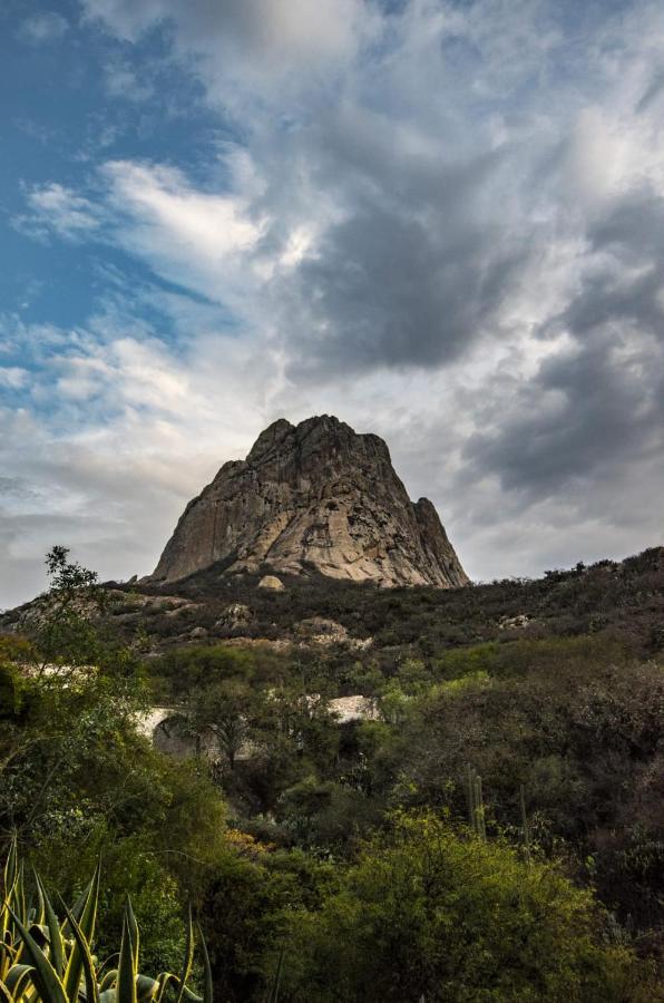 Hotel Casa Del Arbol Bernal Εξωτερικό φωτογραφία